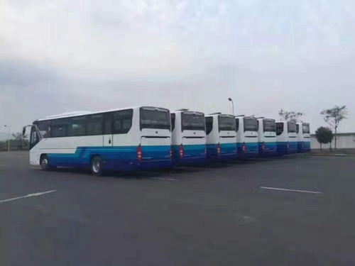 朝陽(yáng)三間房地區(qū)班車與客車租賃服務(wù)指南 專業(yè)、便捷、可靠的選擇